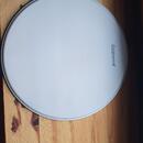 Ludwig snare blana coated 14"