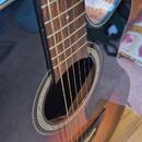 Takamine GF30CE