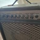 Randall RX 25RM