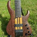 Custom bass 5 string´s (Miloš Kaiser)
