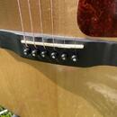 Sigma Guitars GMC-1E