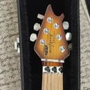 EVH  Wolfgang speciál.