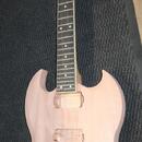 DIY SG typ