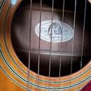 Gibson Epiphone PR-350