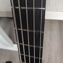 Baskytara DeOliveira Rainbow Custom 5 struny - [rezervovano]