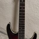 Ibanez SA