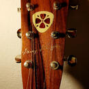 Kytara Blueridge „George Shuffler“ BR-4060 (historická řada)