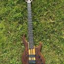Custom bass 5 string´s (Miloš Kaiser)