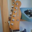 Telecaster Partcaster