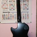 Epiphone Les Paul Joe Perry Signature 2004 - Boneyard