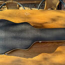 Fender CD-100-12 dvanáctistrunka