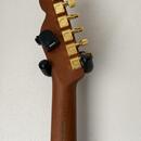 Fender FSR Am. Acoustasonic Telecaster Blue Flower - limitka
