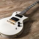 ESP 401 Seymour Duncan sh4 sh2 