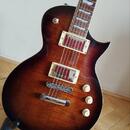 Elektrická gitara LTD EC 256FM a príslušensto