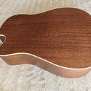 Dreadnought Cort MR 500E OP