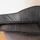 Tribal planet gig bag