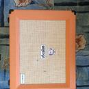 Kytarové kombo Orange Crush 60 PRO