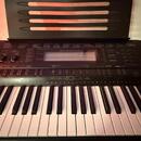 Casio WK-500