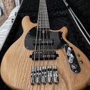 Baskytara 5 strun SCHECTER 
