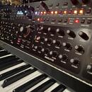 SEQUENTIAL PRO3 Special Edition