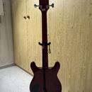 Epiphone Newport Bass Cherry