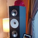 Amphion TWO 18 + Amphion amp 700