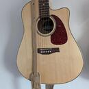 Seagull Performer CW HG Presys II