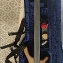 Mayones BE5 fretless