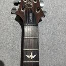 PRS USA Custom 24 Orange Tiger 