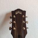 Guild F-250CE Deluxe