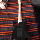Sedmistrunná kytara Ibanez Steve Vai