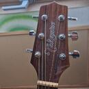 Takamine GF30CE
