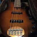 Lakland USA Dual J 5