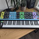 moog matriarch