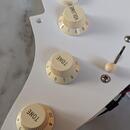 EMG DG-20