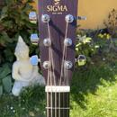 Sigma Guitars GMC-1E