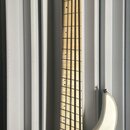 Dingwall NG2 Combustion