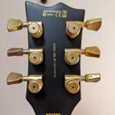 ESP ltd EC-1000 deluxe