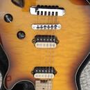 EVH  Wolfgang speciál.