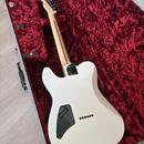 Fender Jim Root Telecaster
