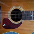Gibson Epiphone PR-350