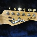 GODIN Acousticaster L.R.Baggs 1994 - ZAMLUVENO