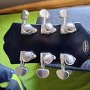 Epiphone Prophecy
