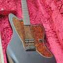 Fender Jazzmaster Jim Root