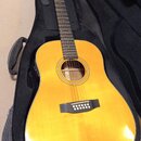 Dvanáctistrunná elektroakustická kytara TANGLEWOOD TW40-12 S