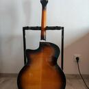 Guild F-250CE Deluxe