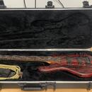 Spector NS Pulse Cinder Red + fishman fluence