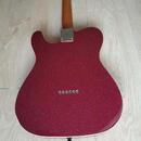 Prodam nebo Vymenim Telecaster Thinline 69 Partcaster