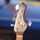 Music Man BONGO 5 HH PIEZO 2004
