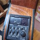Takamine GF30CE